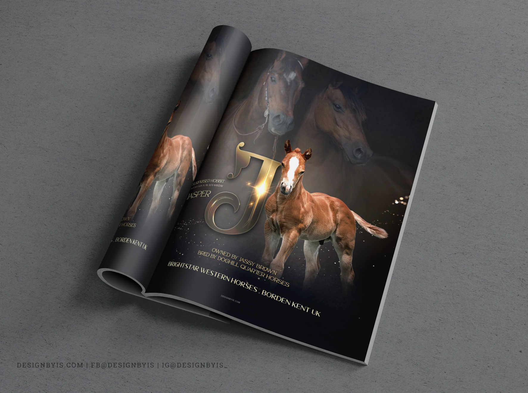 Equine magazine adverts