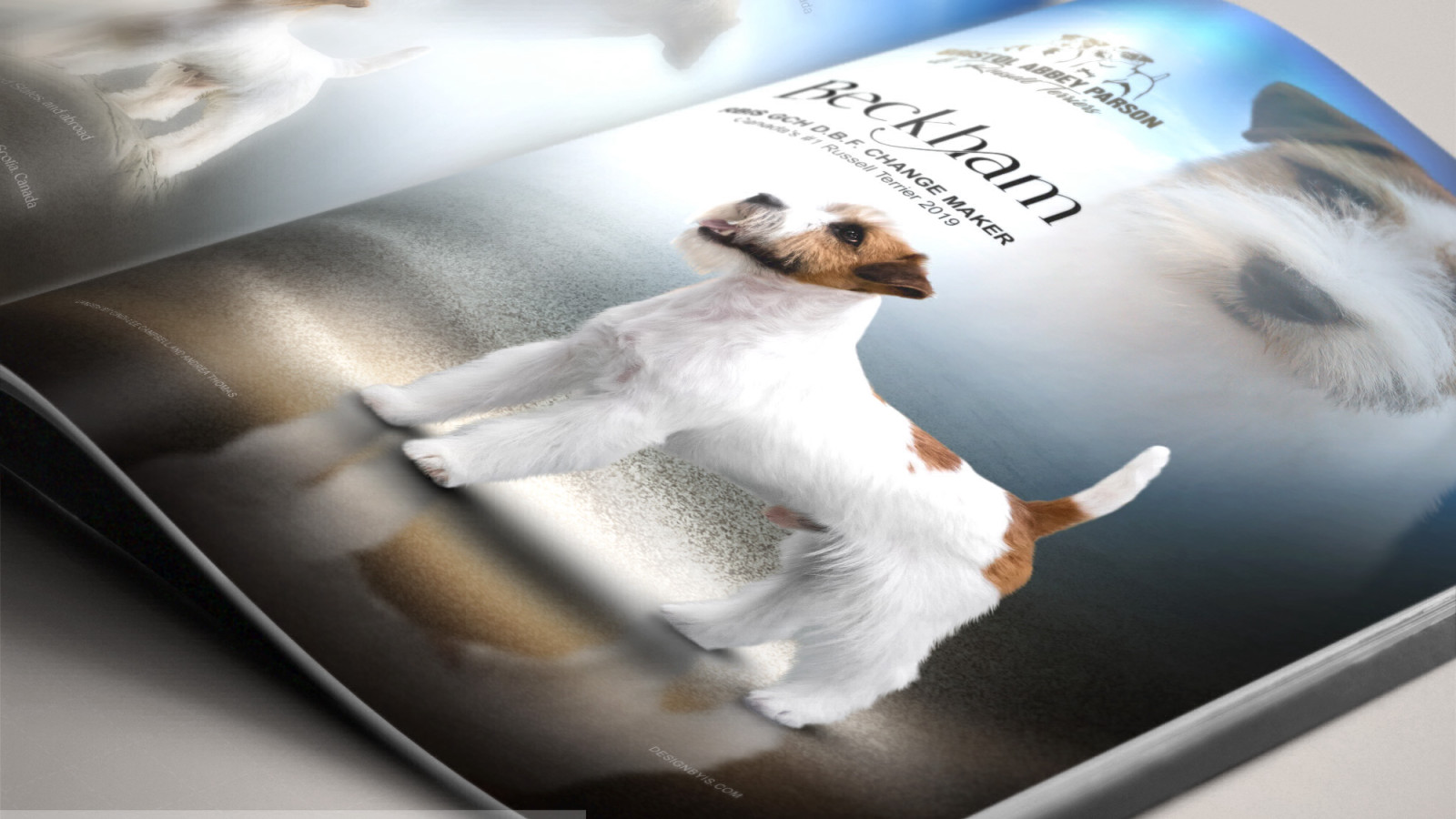 Dog magazine ad