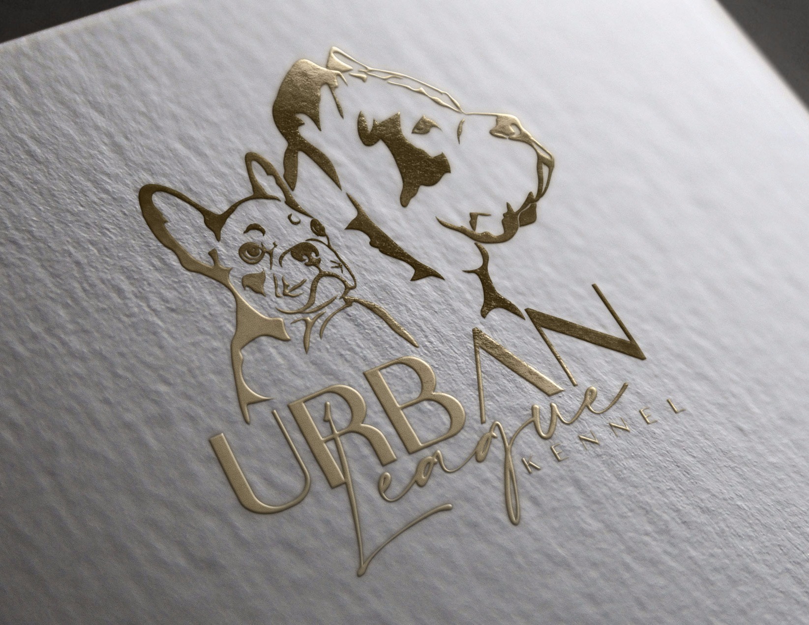 Cane Corso &  French bulldogs kennel logo