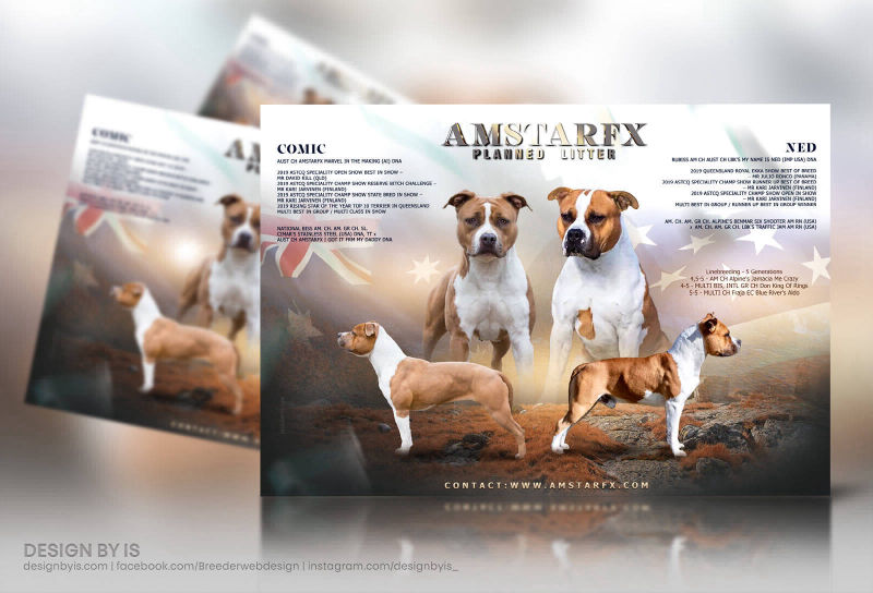 GRAPHIC DESIGN FOR BREEDERS DOG LOGOS CANINE WEBSITES GRAPHIC DESIGN FOR BREEDERS DOG LOGOS CANINE WEBSITES