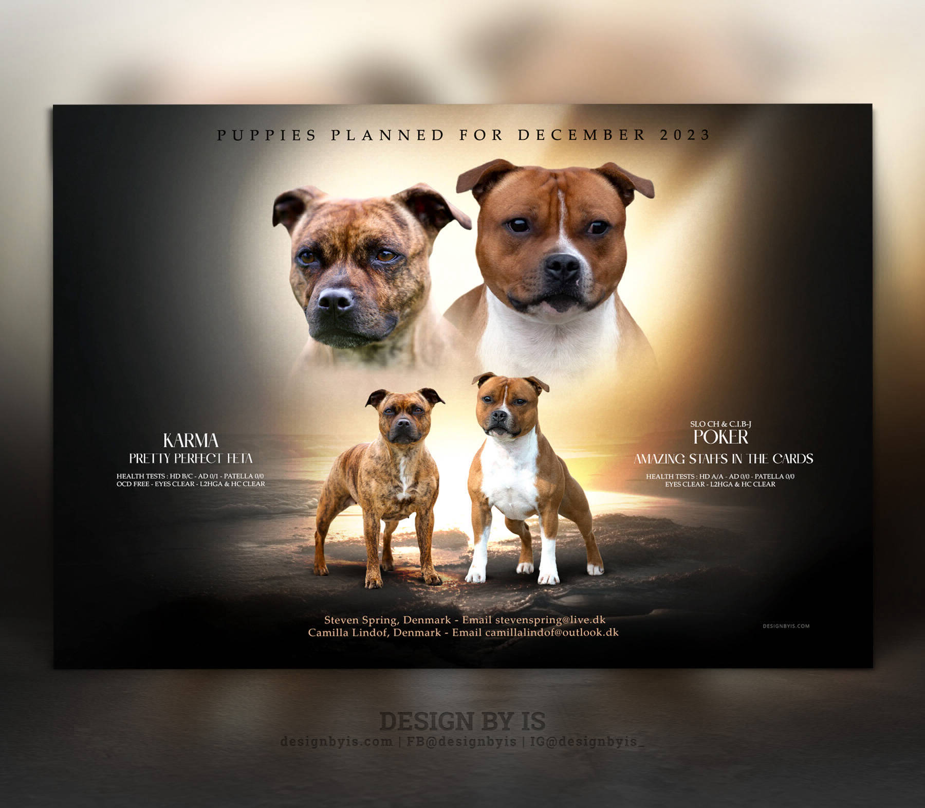 GRAPHICS FOR BREEDERS LITTER ANNOUNCEMENTS EQUESTRIAN ADS GRAPHICS FOR BREEDERS LITTER ANNOUNCEMENTS EQUESTRIAN ADS