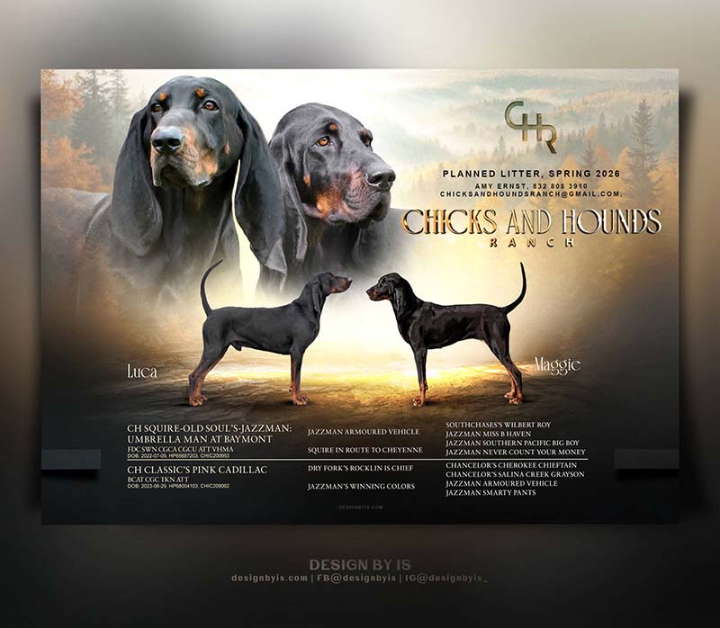 Hounds litter banner 