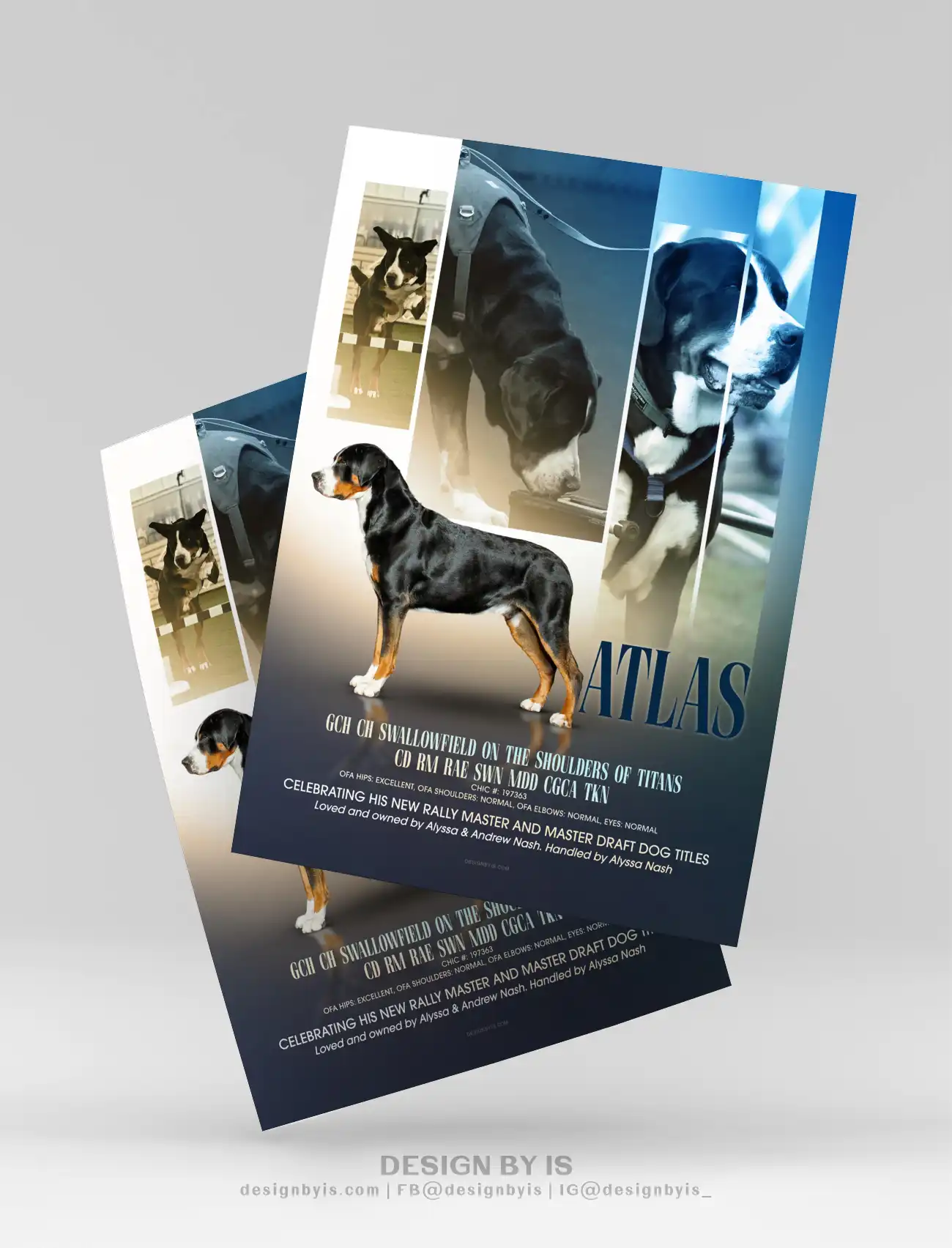 Breeder ads and presentations 