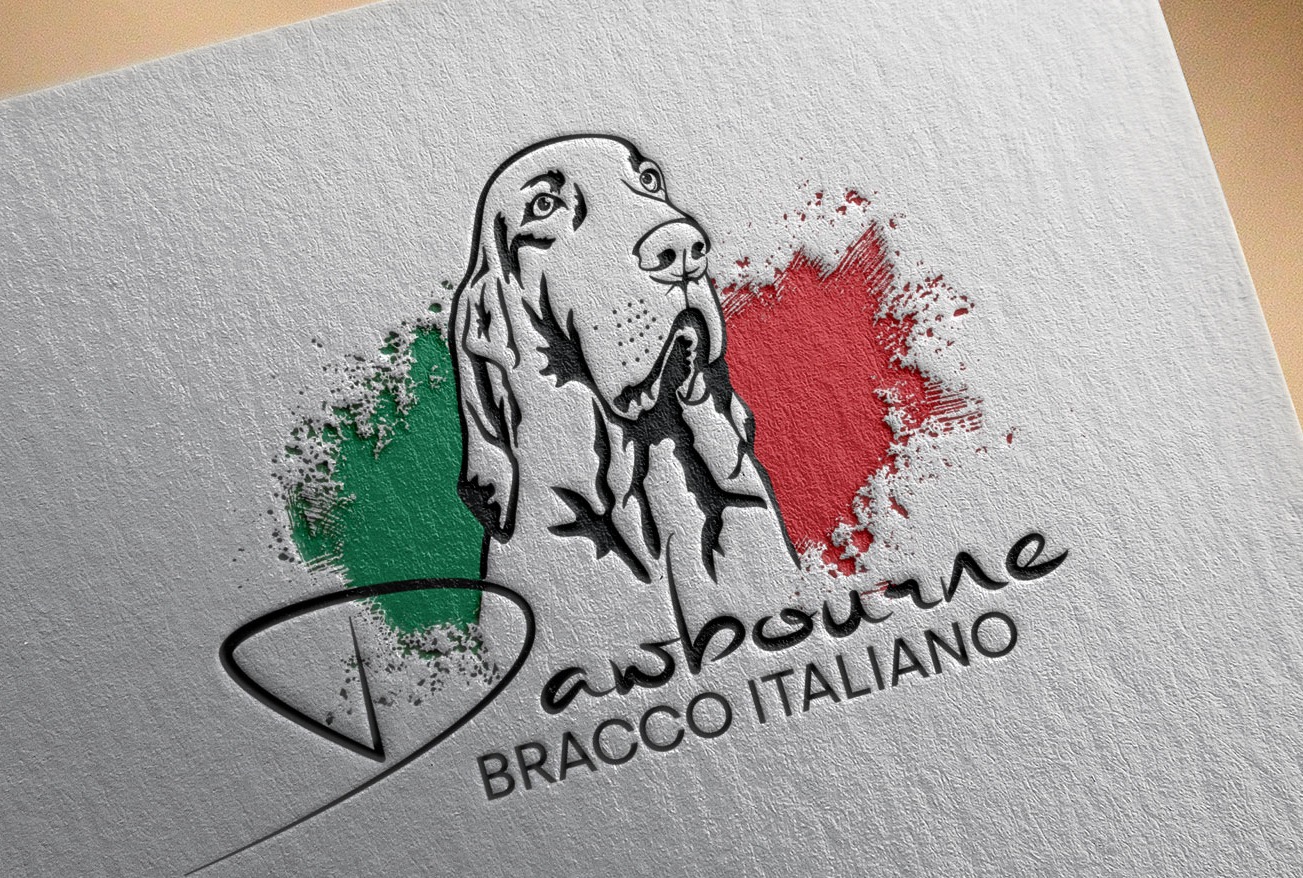 Bracco Italiano custom logo