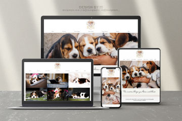 Beaglier breeder website