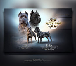 Litter announcement
