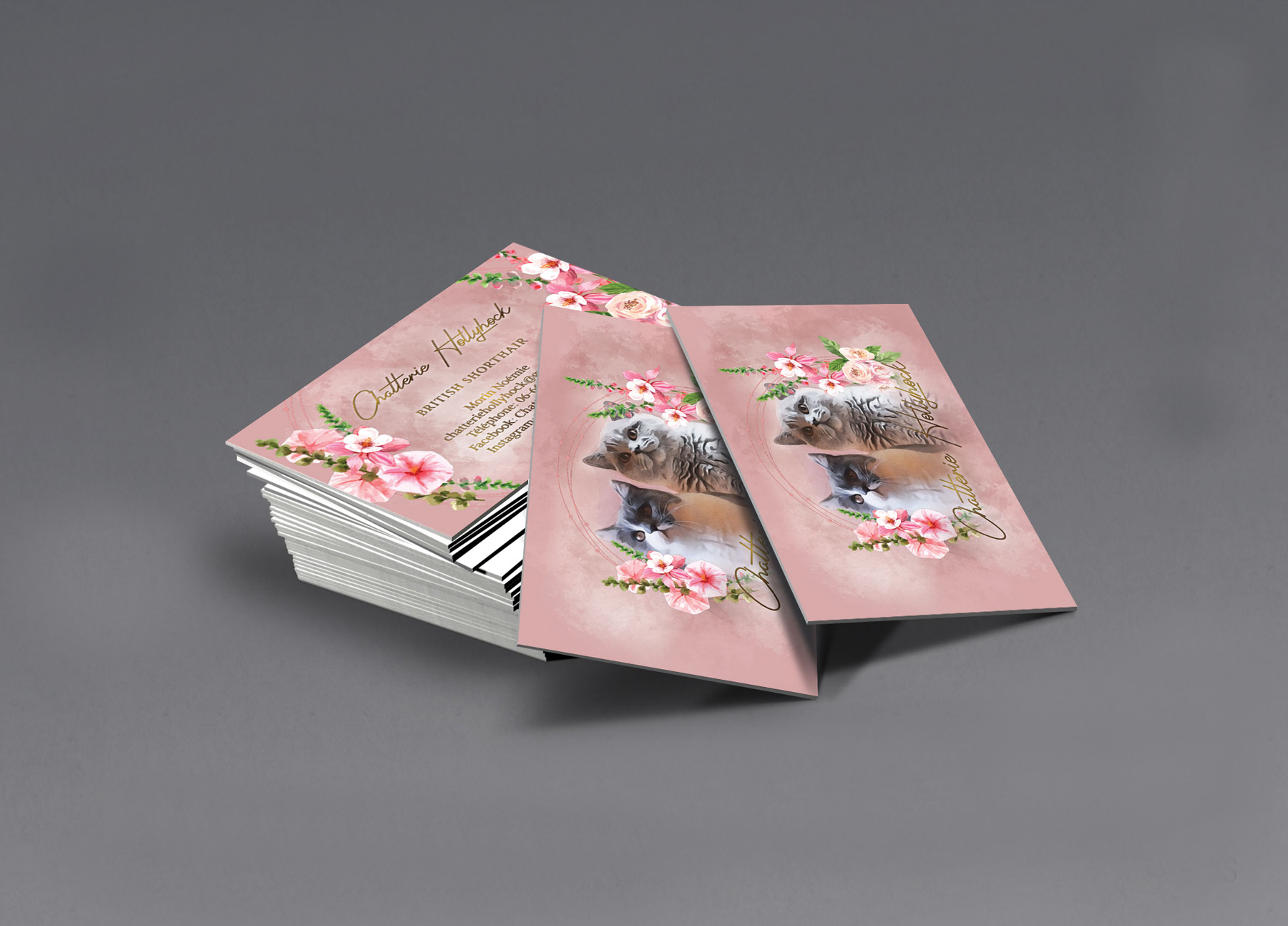 Cattery business cards