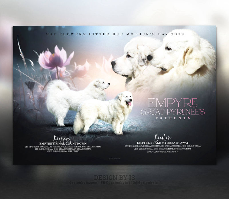 Litter announcement. Breeding banner