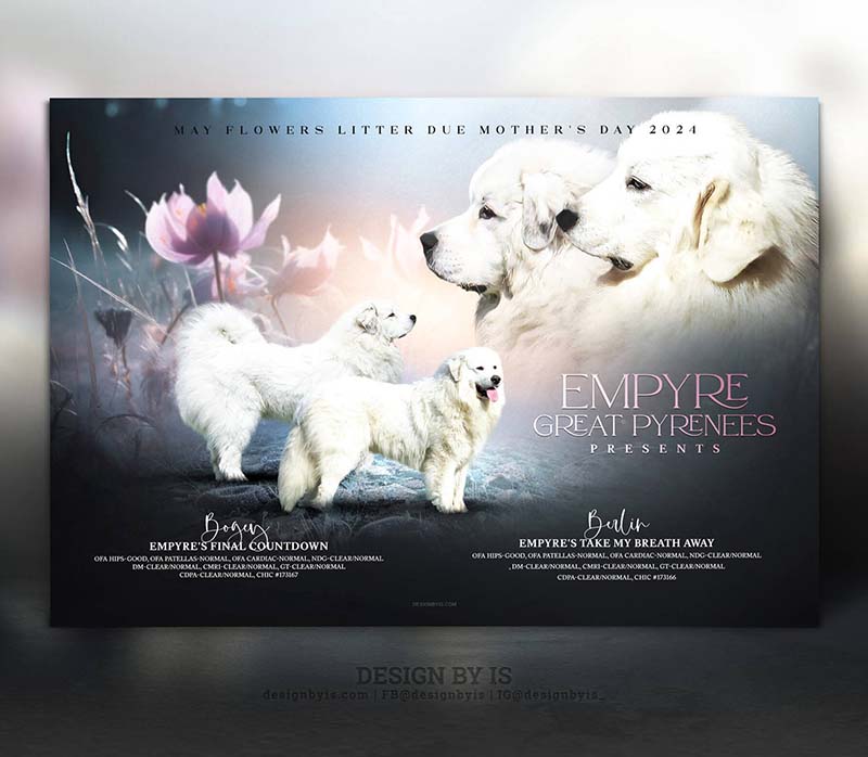 Litter announcement. Breeding banner